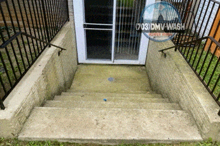 BASEMENT STEPS
