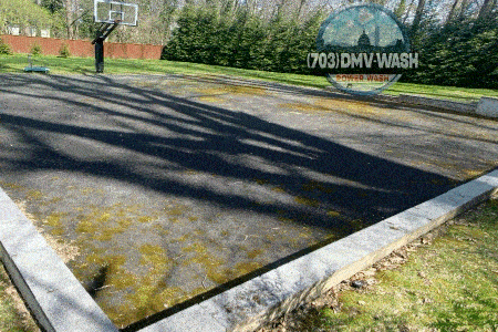 PARKS & COURTS